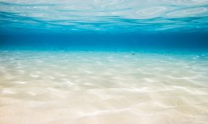 What is Aqua Detox?