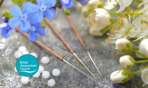 British Acupuncture Council: Why You Should Register If You Perform Acupuncture